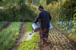 The Complete Guide to Organic Farming A Natural Approach to Sustainable Agriculture