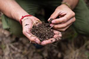 The Essential Guide to Agricultural Gypsum Improving Soil Health Naturally (1)