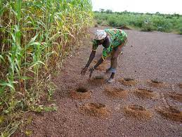 Agricultural Practices Cultivating the Future of Farming