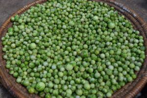 Benefits of Cowpeas