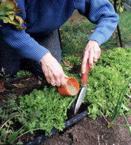 Composted Manure A Complete Guide to Organic Gardening