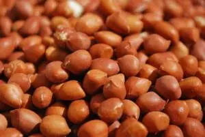 Groundnuts