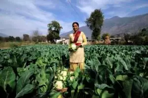 Organic Farming in Agriculture