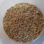 Organic Finger Millet