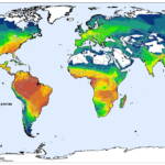 species richness