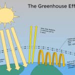 Greenhouse Effect Its Impact on Our Planet