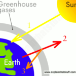 Greenhouse Gases and Global Warming (1)