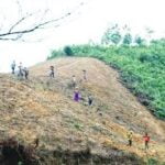 Jhum Cultivation