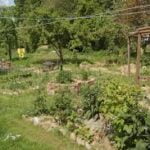 Permaculture Sustainable Farming for the Future