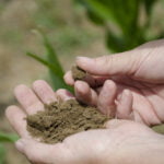 Soil Health1