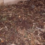 Vermicomposting process