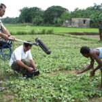 Observation of Organic Farming